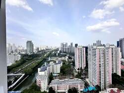 Vista Residences (D12), Condominium #576985931